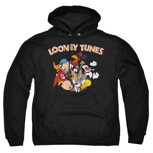 Amazon.com: Popfunk Looney Tunes Gang 1 Unisex Adult Pull-Over